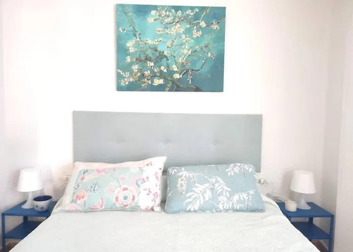 Charming & Spacious In Historic Centre & Short Walk To Lejlighed Alicante
